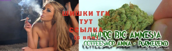амф Белоозёрский