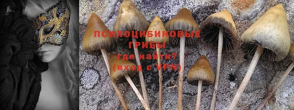 COCAINE Белокуриха