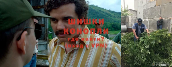 COCAINE Белокуриха