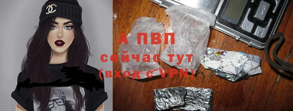 сатива Осташков