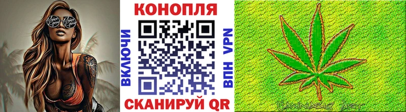 купить   маркетплейс телеграм  Бошки Шишки сатива  Михайлов 